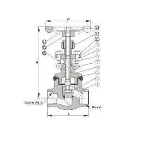 Class 900,1500 forged Steel Globe Valve