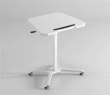 Mobile laptop computer supports