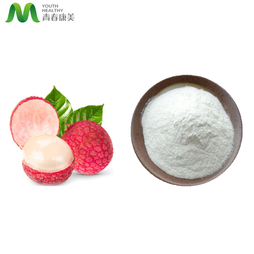 Spray Dried Litchi Fruit Juice Powder