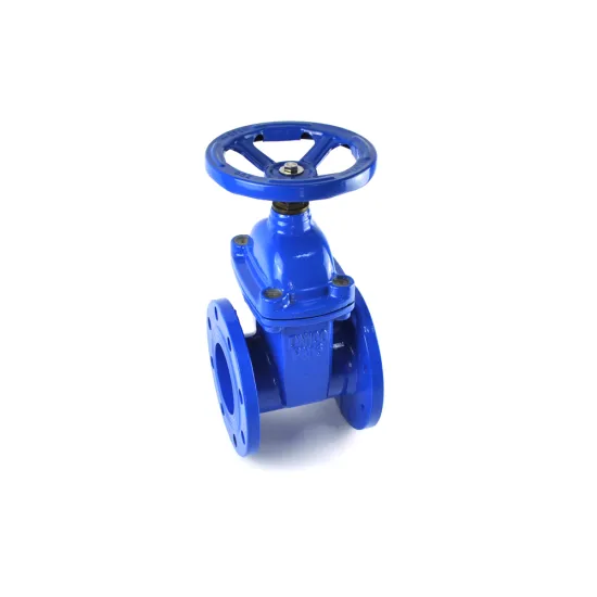 raised face(rf),full face(ff),ring type joint (rtj) end connection double flange type gate valve