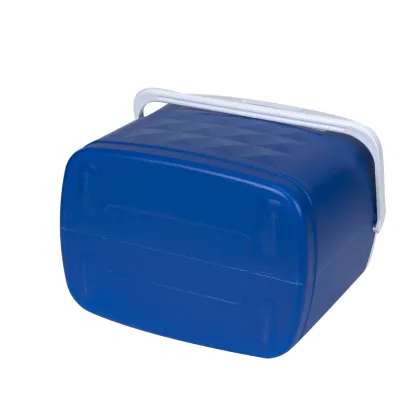 Innovative Igloo Cooler Box: High Quality at Competitive Price - 20UL