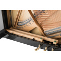 Petrof · sarudza es-1 yakatwasuka piano dema yakadima imba 122cm European petrof craft nyanzvi acoustic piano