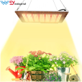 Quantum LED Grow Light Board Full Spectrum