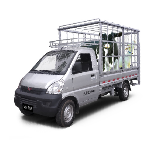 Wuling Zhiyue-Livestock Transport Vehicle