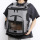 Mesh Comfort Roller Shutter Pet Travel Backpack