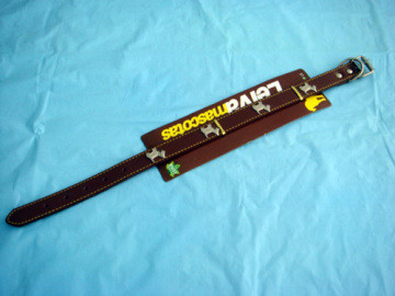 dog belt 45cm