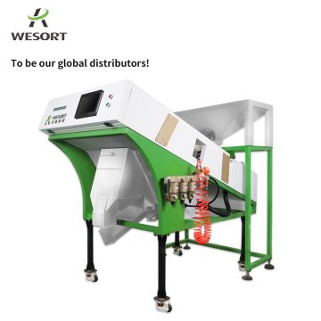 Global Distributors Wanted: High-Quality Color Sorter Machines for Mangoes, Vegetables, Rice, Beans, Coffee, and More