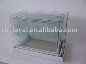 mini glass aquarium