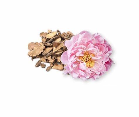 Paeonia Suffruticosa Bark Extract /Paeonol 98% Powder
