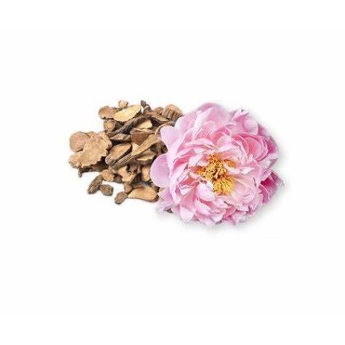 Paeonia Suffruticosa Bark Extract /Paeonol 98% Powder