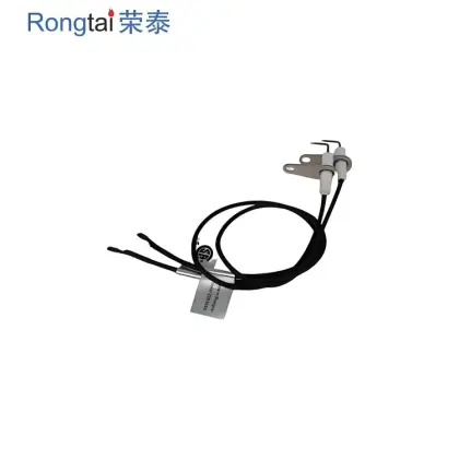 Ignition Electrode Ceramic Electrode Machinable Parts