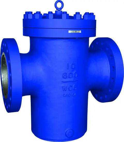 ANSI Basket Type Industrial Strainer