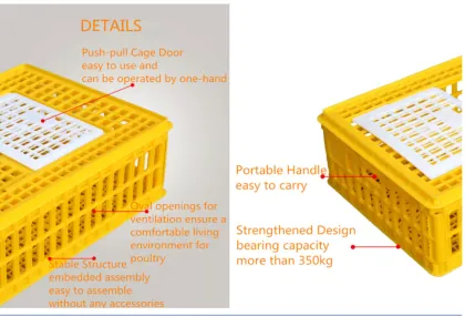 Agrieso Plastic Chicken Crates for Poultry Farms and Transport