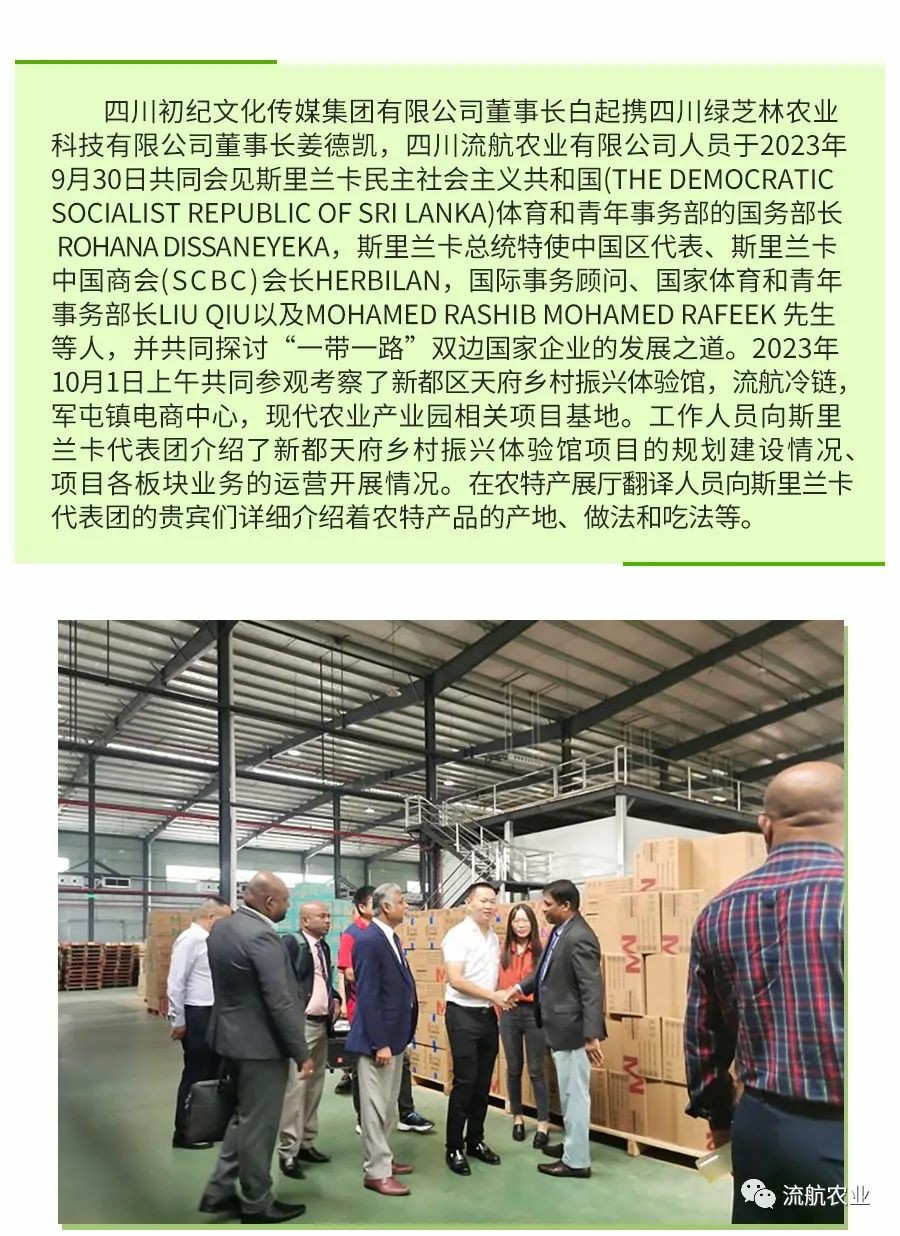 Sichuan organic rice planting base