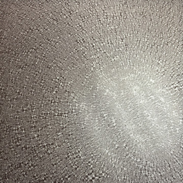 Acier galvanisé pré-revêtu avec peinture mate