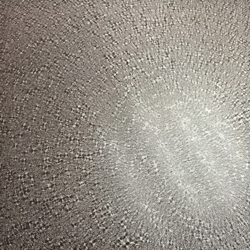 Acier galvanisé pré-revêtu avec peinture mate