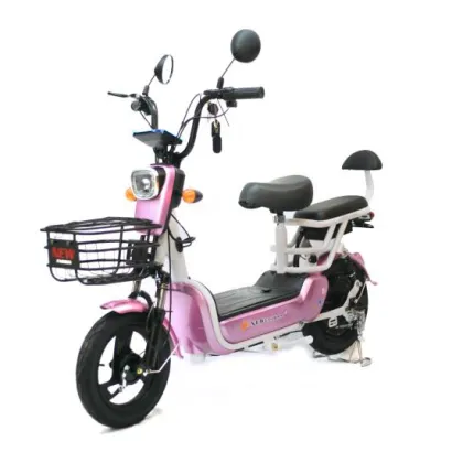2020 Changli Electric Bicycles - Electric Bike Reviews and Information