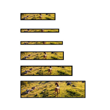 Clientop Customized Ultra Wide LCD Display Advertising Shelf