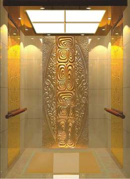 Passenger Elevator (U-Q0174)