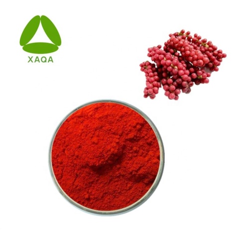 Schisandra Extract Schisandra Fruit Powder