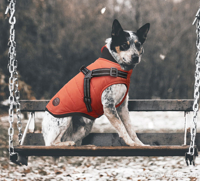 Autumn Winter New Dog Harness Clothes Vest