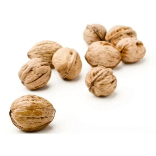 Wholesale Large Low Price Raw Walnuts and Organic Walnut Kernels from Xinjiang