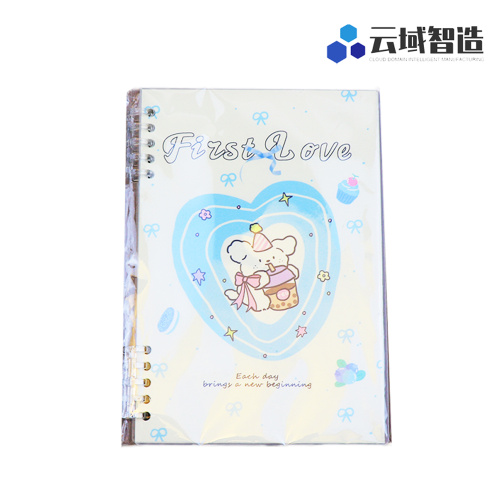 Sélection sophistiquée de classeurs à feuilles mobiles