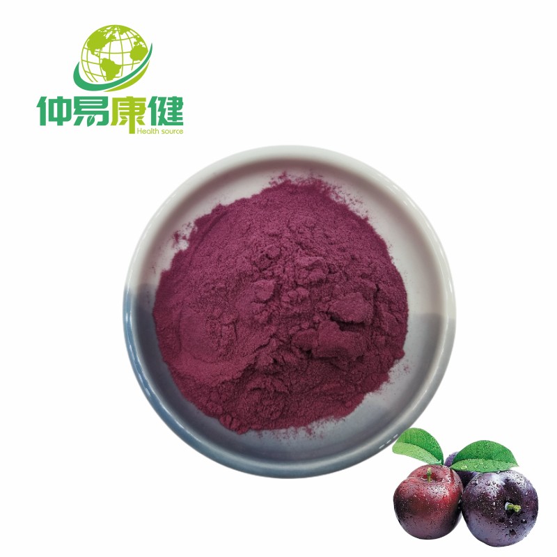 Concentration Dark Plum Powder