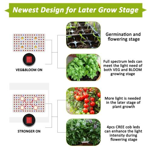 Phlizon Veg Flower COB Grow Light