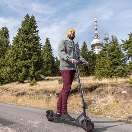 Shenzhen factory 2 wheel adult cheap electric scooter