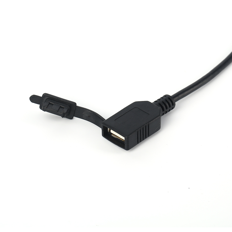 Custom Collecting Wiring Harness