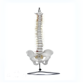/msite/products/detail/productid/63171996/id/1517769.html