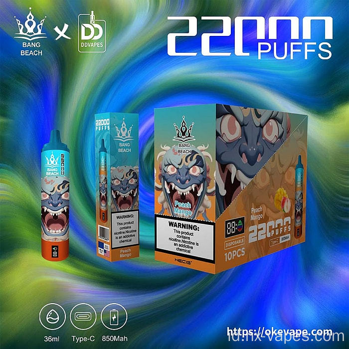Bang Beach 22000 Puffs Harga Grosir Eropa