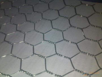 Hexagonal Wire Mesh/Chicken Wire Netting