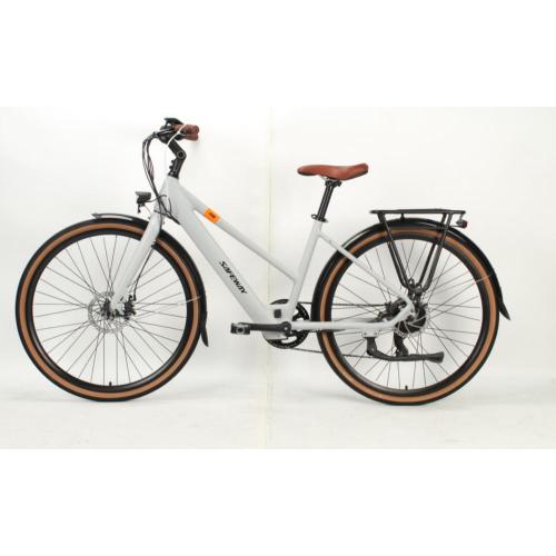 Two Seat Electric Road Bike for Leisure