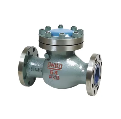 Revolve Open Type Check Valve