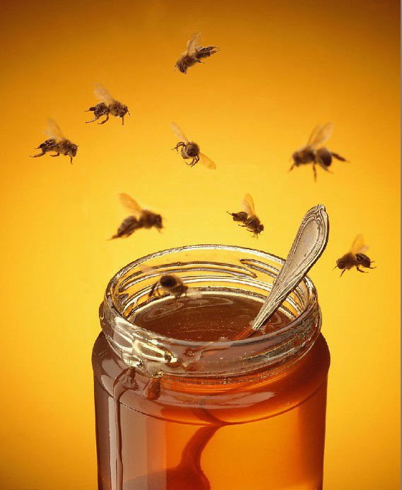 طبيعة نقية جودة عالية الميدلار العسل