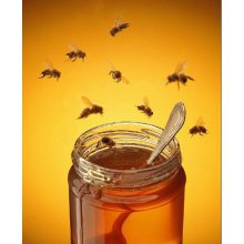 buckwheat honey adequate quantity