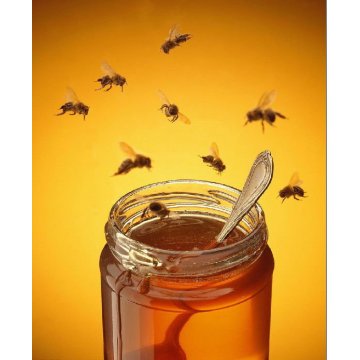 Organic | Pure Honey (100% Natural)