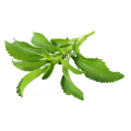 stevia extract healthy Natural sweetener