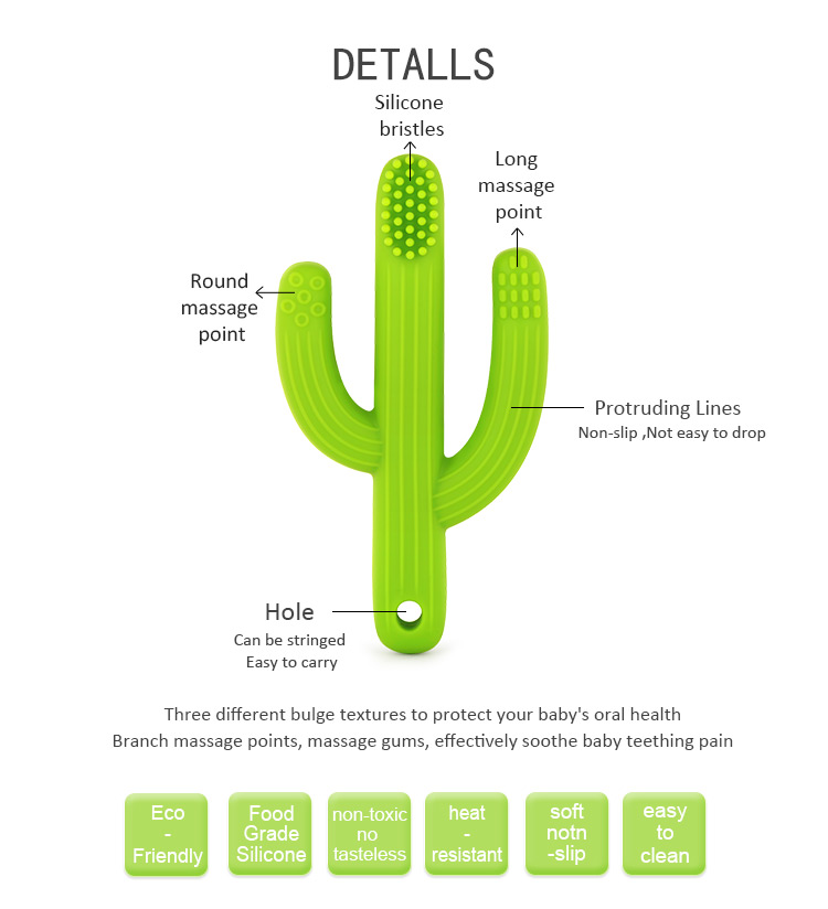 cactus teething toys
