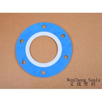 PTFE/CNAF Gasket (Blue) 200x101x2.5mm