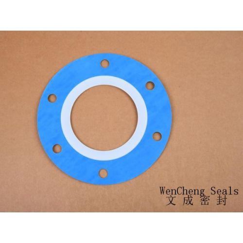 PTFE/CNAF Gasket (Blue) 200x101x2.5mm