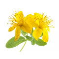 Hot Sale Hypericin0.3% St John's Wort Extract