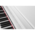 Генри Хэмлин Digtal Piano x5 Multi-Color Be Manude Gue Grain или окрашенная поверхность