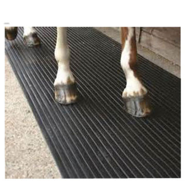 Rubber Backed Floor Mats