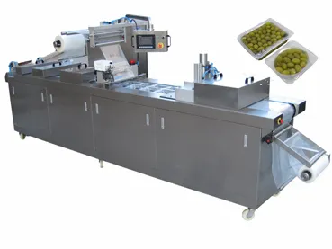 Olives Automatic Thermoforming Packaging Machine (DZL)