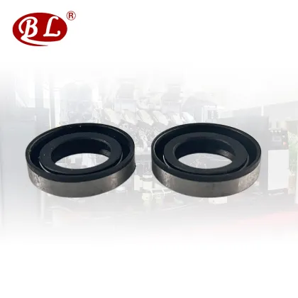 Iron Shell Oil Seal Search Engine