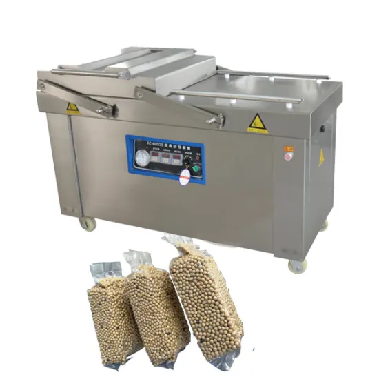 Double Chamber Vacuum Packing Machine Vacuum Food Sealers