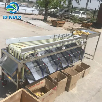 Progressive Dates Palm Walnut Cleaner Grader Machine